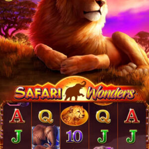 Safari Wonders